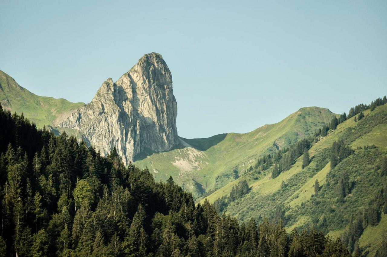 Boutiquehotel Das Edelweiss Schoppernau Exterior photo