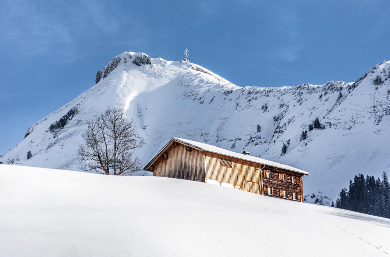 Boutiquehotel Das Edelweiss Schoppernau Exterior photo